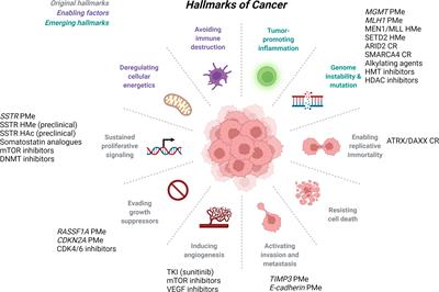 Epigenetic Regulation in Gastroenteropancreatic Neuroendocrine Tumors